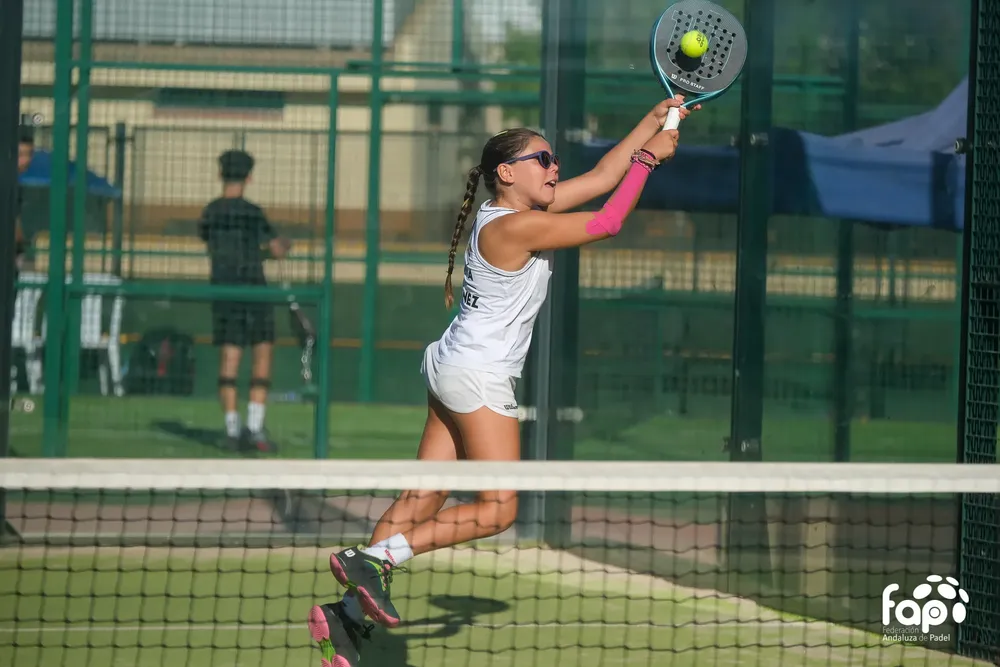 FIPPromisesDipMlg-10-5