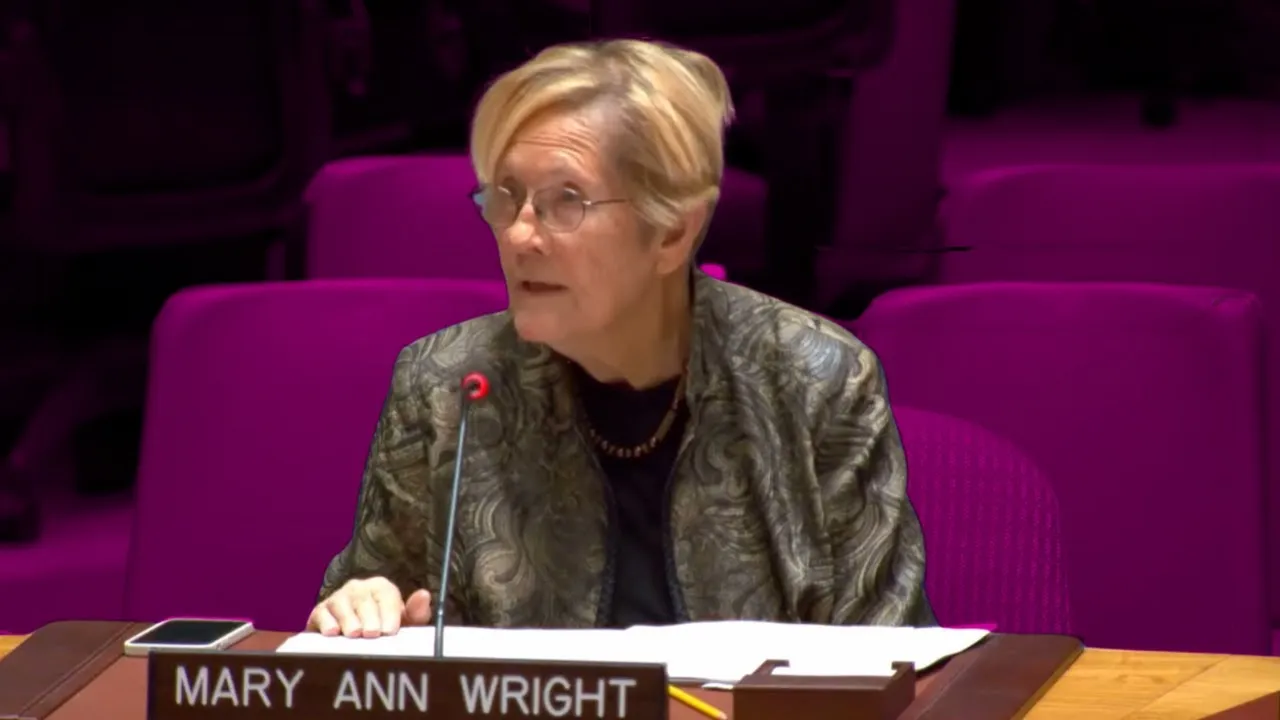 Ann_Wright_Security_Council