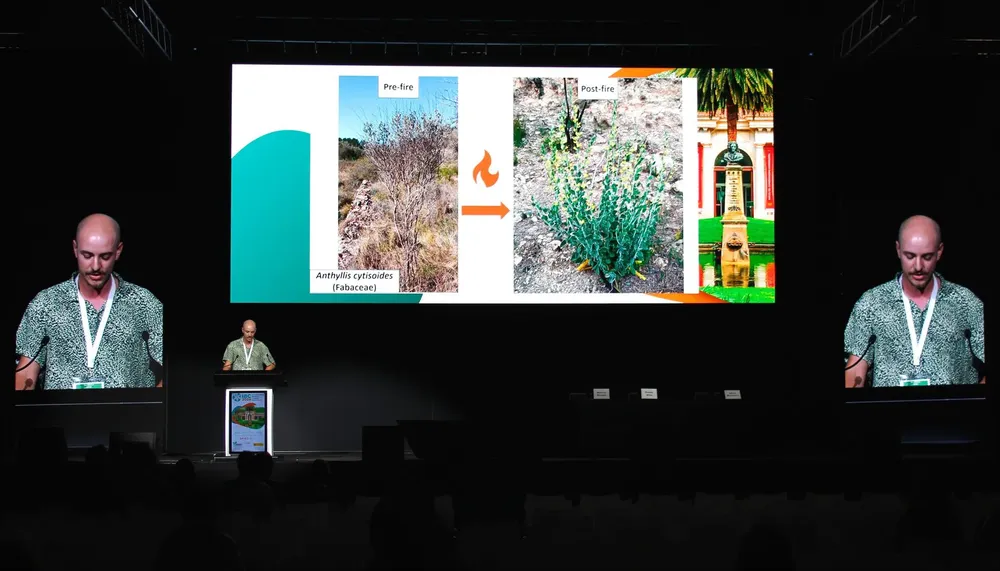 fotonoticia_20240726184945_1920