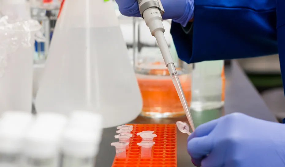 1688381360374laboratoriomuestrasESTANDAR