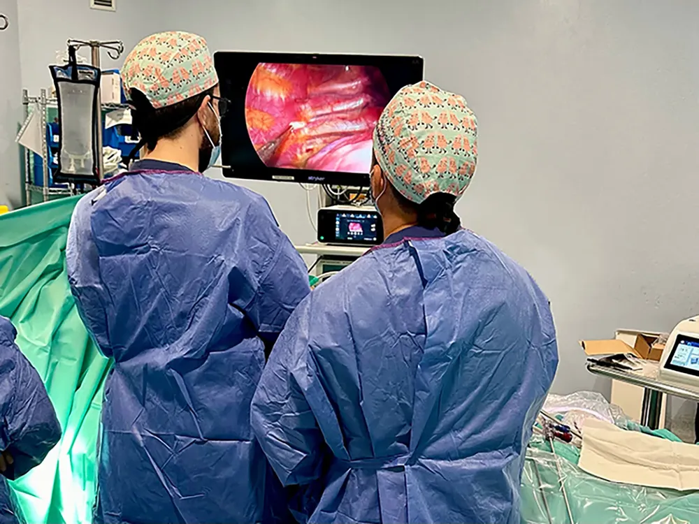 NP Pectus Cirped QSM 2025_1