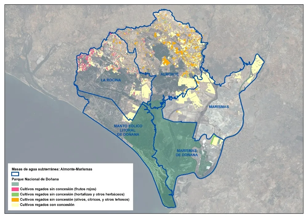 Mapa de masas de agua subterráneas y cultivos en Doñana | Imagen de WWF